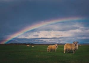 Irish Symbolism Rainbows