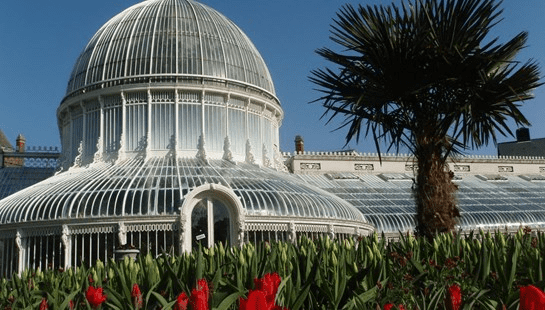 palm-house-botanic-gardens