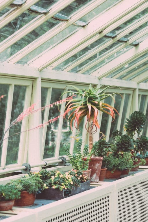 damiano baschiera a National Botanic Gardens unsplash Medium There's so much to explore in Ireland, but one place for the top of your list? The stunning capital city of Dublin.