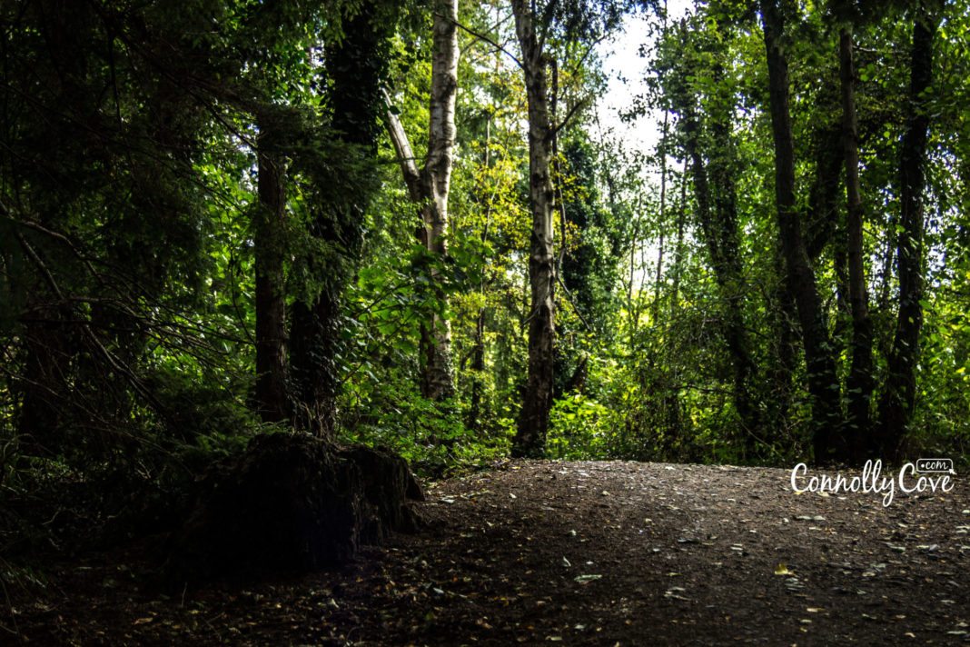 Belvoir Park Belfast Forest Park in Belfast by Connolly Cove 3