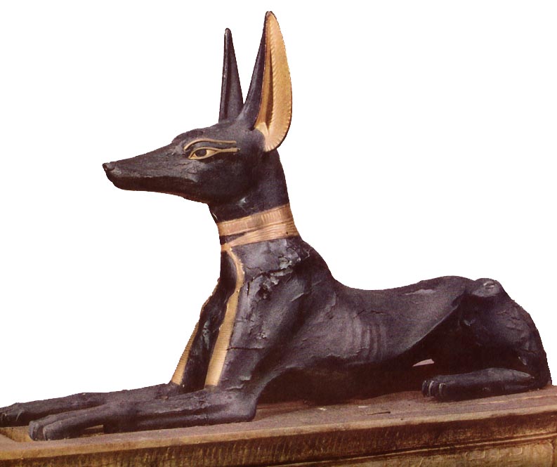 Anubis Statue at the Egyptian Museum in Cairo