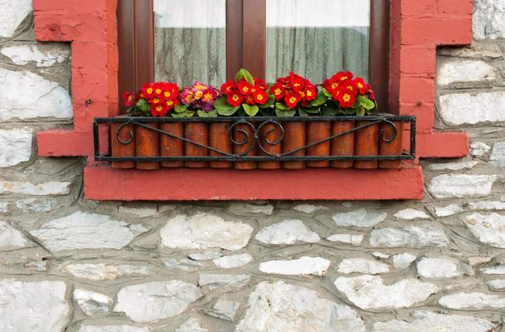 A beautiful Irish window with red flowers
