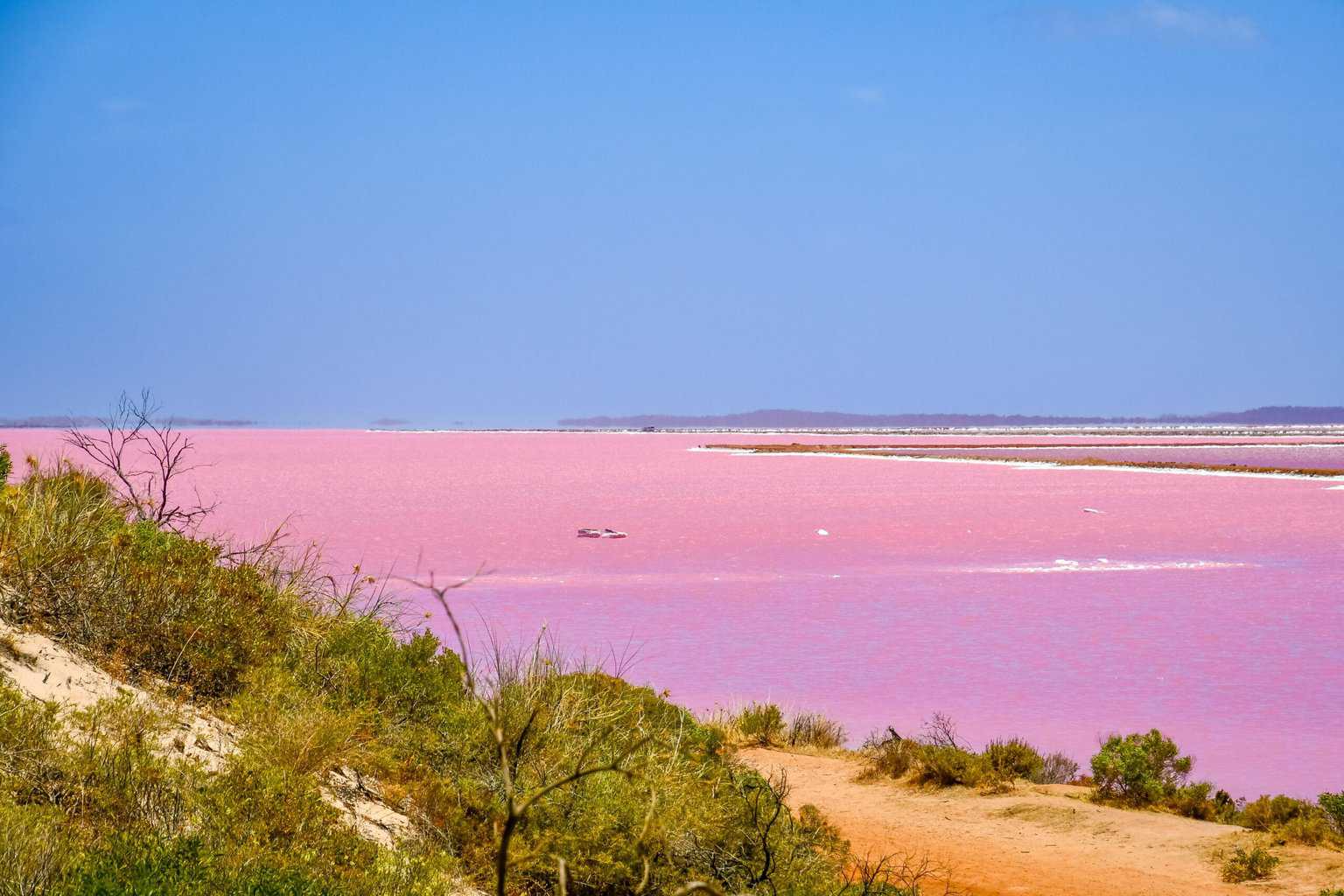 Lake Hillier min scaled The Natural Wonders of the World are all incredible sights to behold in many parts of the world. All these places attract many tourists throughout the year. A global poll was made by the Seven Natural Wonders organization in 1997 and contained seven natural wonders, which are the Northern Lights, the Grand Canyon, Paricutin, Mount Everest, Harbor of Rio de Janeiro, Victoria Falls, and the Great Barrier Reef and there are much more but these are the most famous and the most admired across the globe.