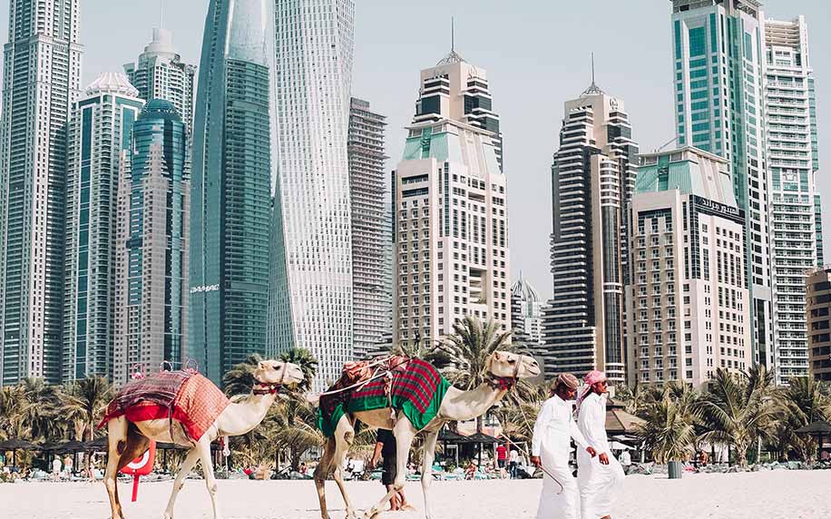 the skyline of dubai's skyscrapers with camels on the beach being led by a man