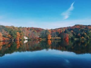 scenic view of a lake with color changing leaves in New York