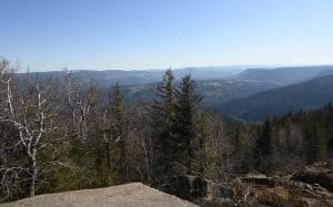 a stunning panorama of the forest and mountain range of vosges mountains