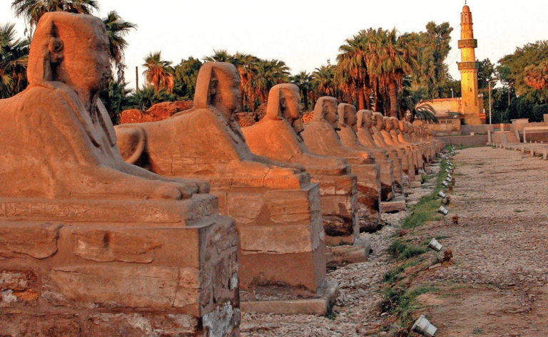 Sunsets over a row of sphinxes in Egypt