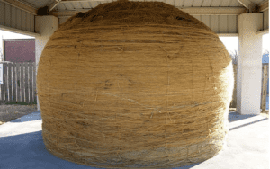 America's largest ball of twine