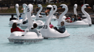 Families ride on giant mechanical swans at this fun park in Belfast