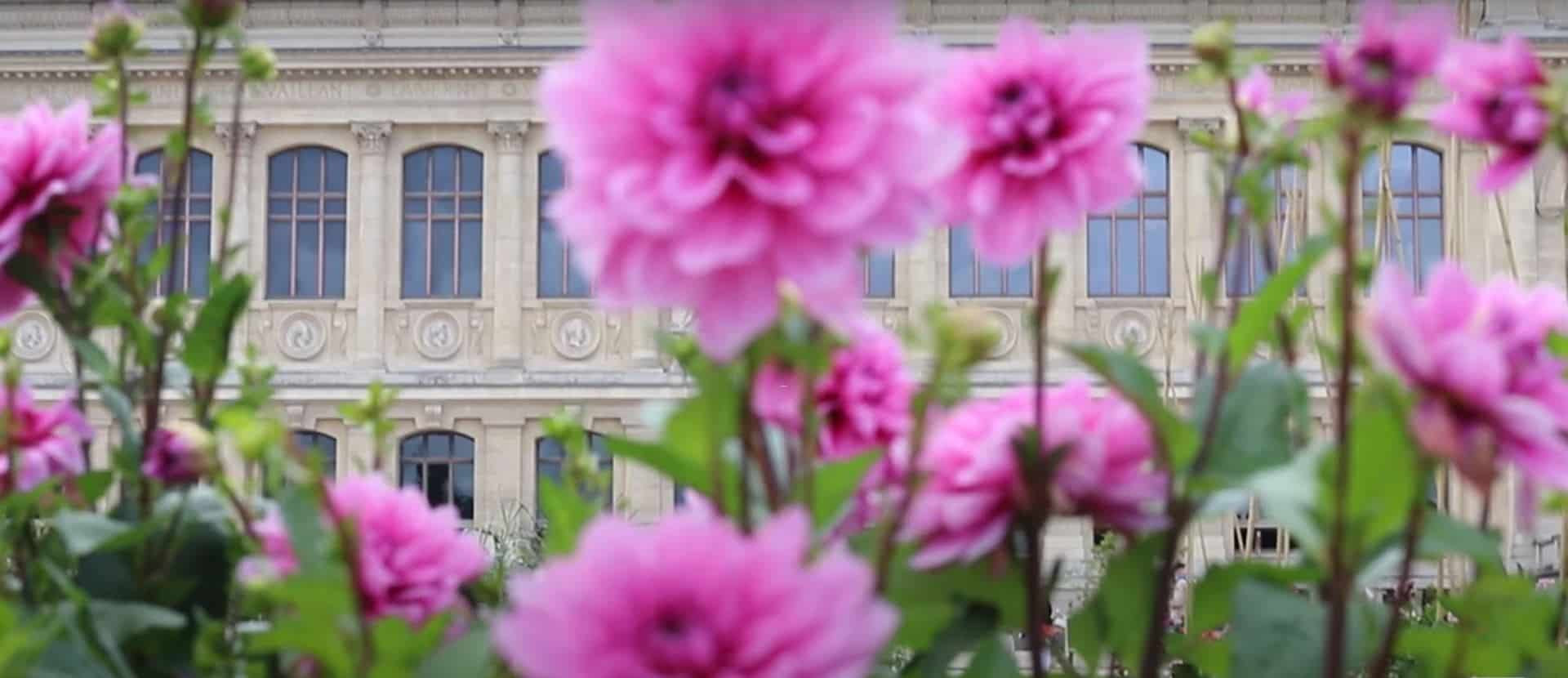 No shortage of gardens in Paris