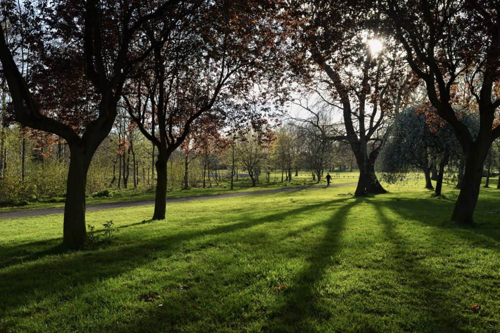 Brooke Park, Northern Ireland