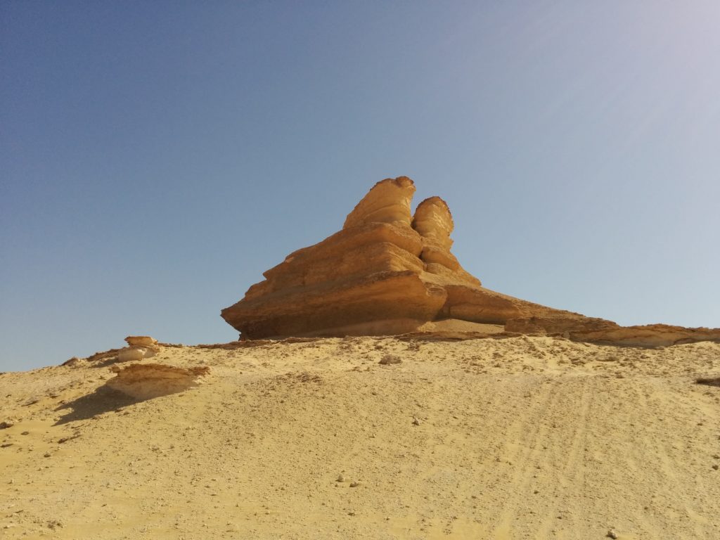Places to visit in Fayoum: Wadi Al Rayan