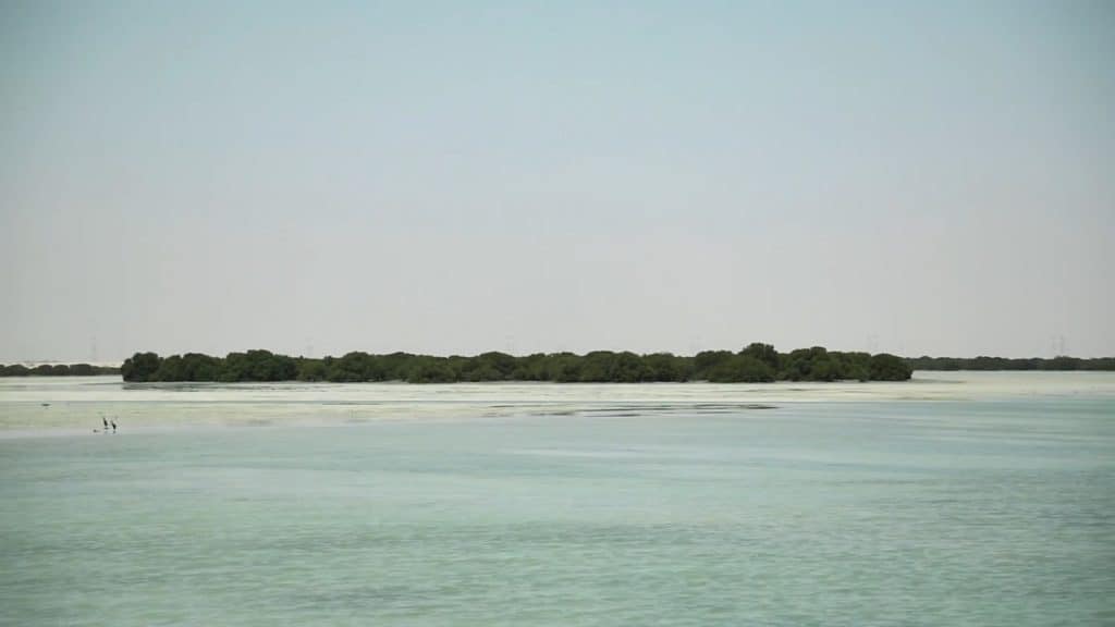 Mangroves near Al Khor City in Qatar Have you ever heard about Arabian nights? You know when you’re in the middle of the desert, sitting comfortably in a tent beneath the stars. You’re surrounded by your friends or sometimes complete strangers under the star-studded blanket that is the sky. These magical nights and safaris are some of the enchanting destinations these Arab Asian Countries can offer you.