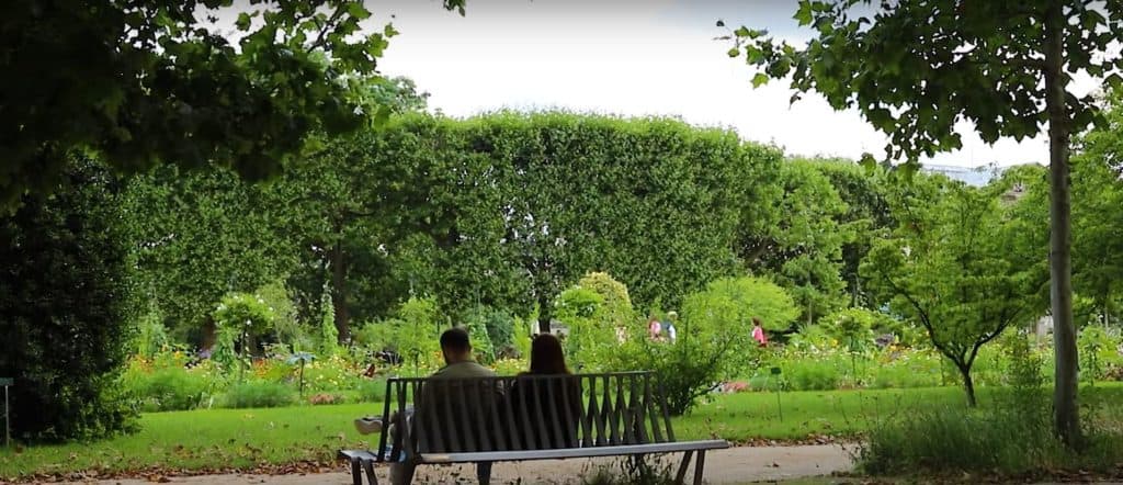 Take in a romantic atmosphere in Jardin Des Plantes, Paris