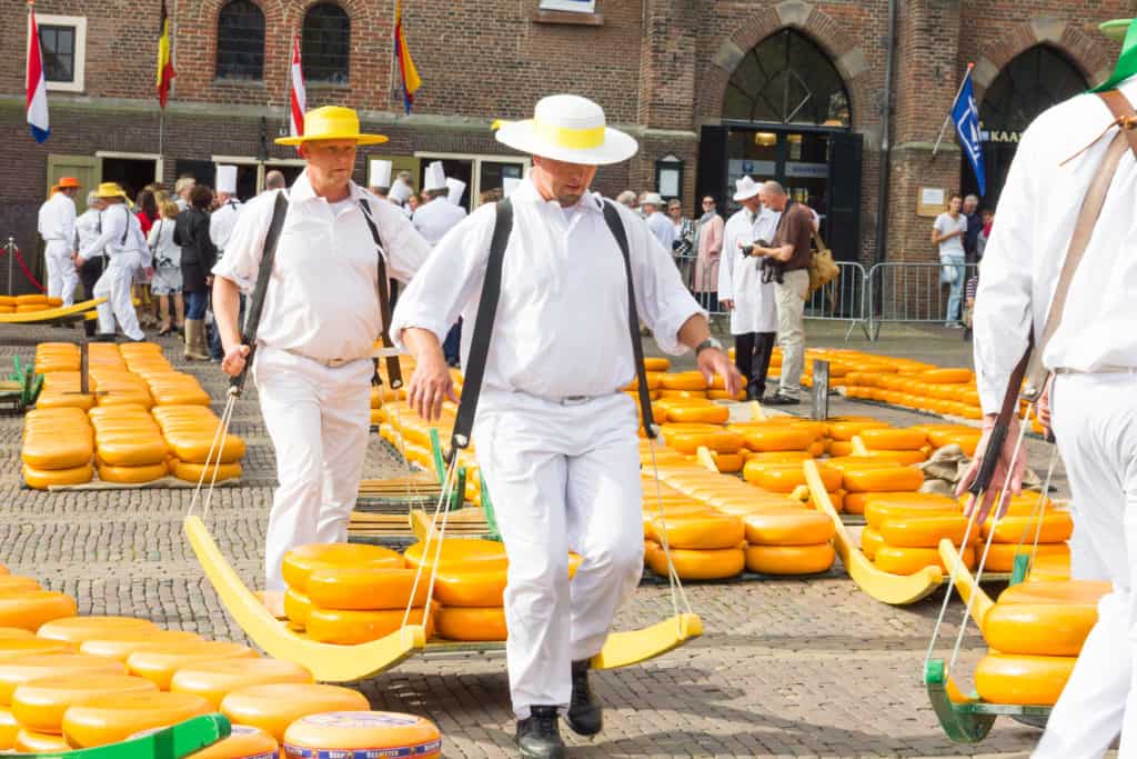 ALKMAAR, THE NETHERLANDS - SEPTEMBER 7: Carriers walking with many cheeses in the famous Dutch cheese market, September 7, 2012