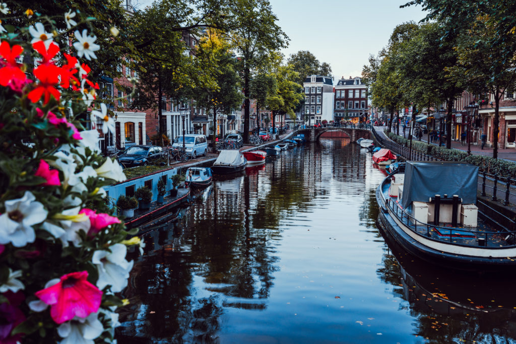 Bright flowers on a bridge over a beautiful tree-lined canal in the center of Amsterdam, Netherlands.