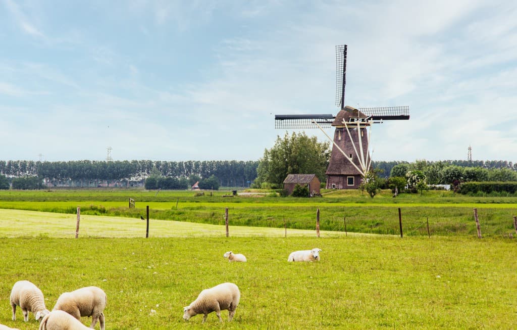 e mens yEpUny1hxoE unsplash Things You Need to Know Before Traveling to the Netherlands