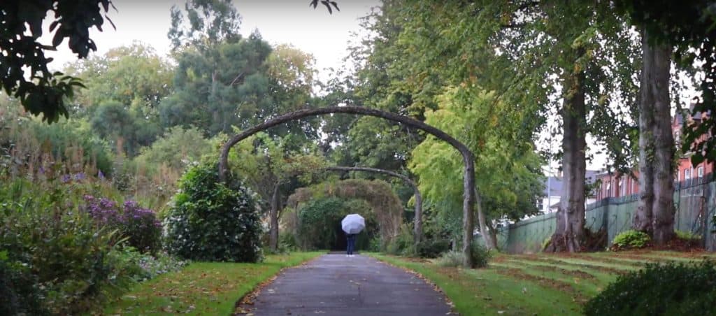 Lose yourself inside Botanic Gardens, Belfast, Northern Ireland