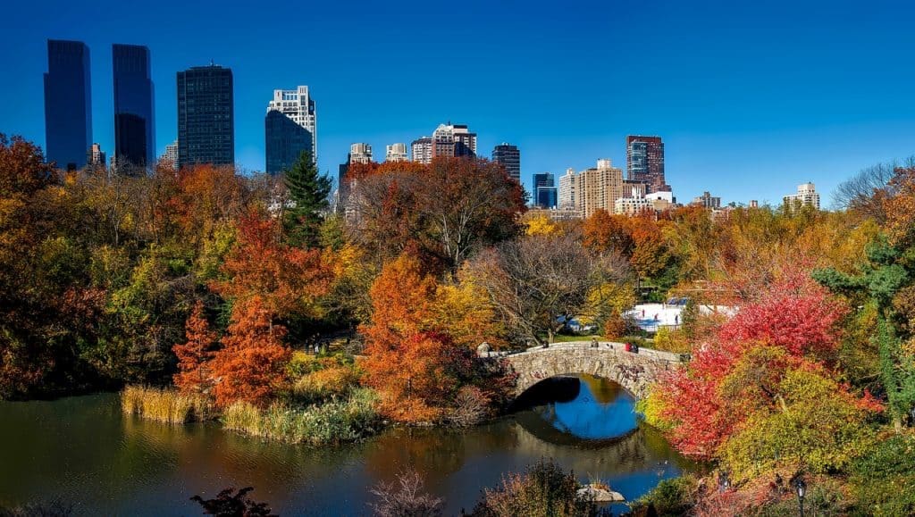 Central Park, New York City, Bridge, Autumn