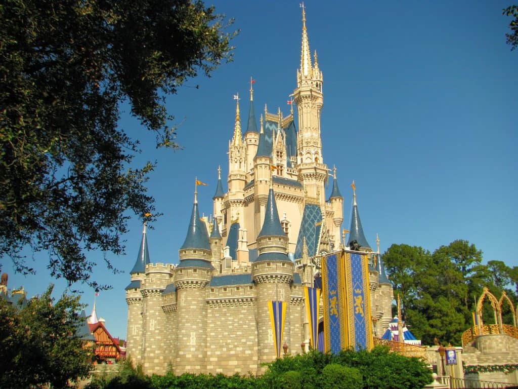 Disney World, Castle