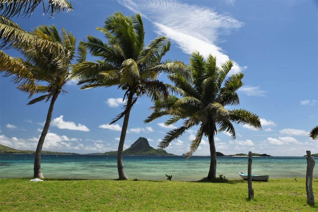 Fiji, Beach, Palm trees, Mountain