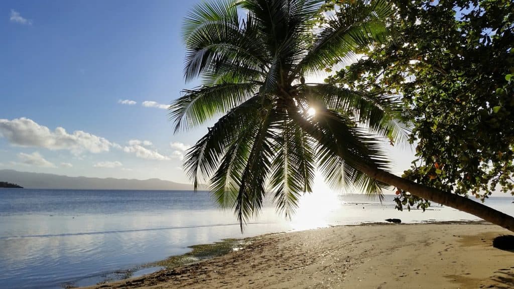 Fiji, beach, palm trees, clouds