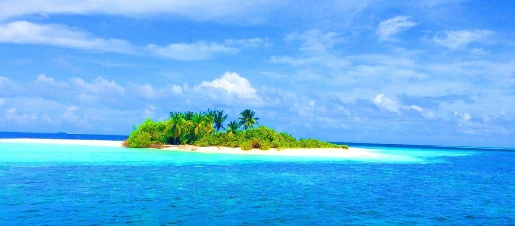 Maldives, Beach, Island, Trees