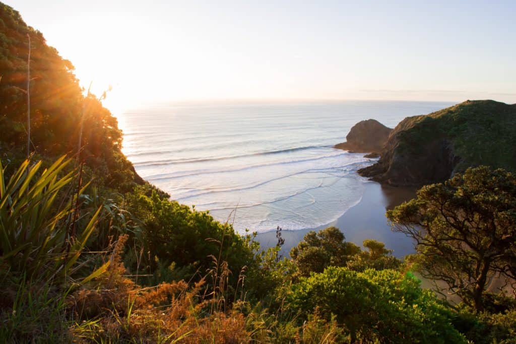 Mountains and beaches are masterpieces in New Zealand
