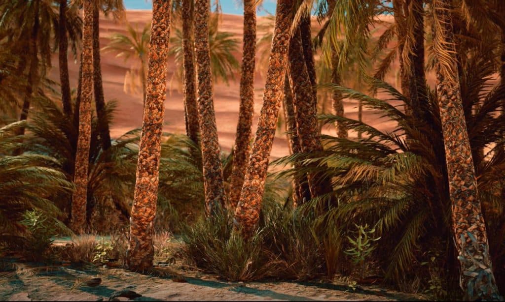 Palm Trees in the heart of desert, Saudi Arabia