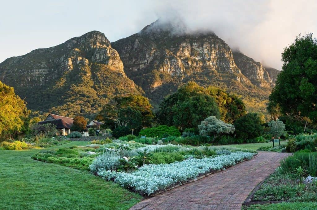 Table Mountain National Park 