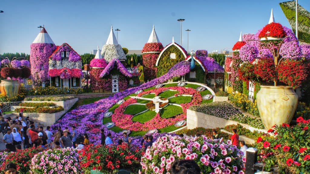 Dubai Miracle Garden Dubai is popular for being one of the urban miracles of the modern world. A futuristic city rise in the middle of a desert is something that our ancestors 100 years ago could only imagine in a science-fiction film. It is hard to imagine that this fascinating location used to be just a tiny fishing village. It seems almost logical that a small town in a very challenging climate zone could become one of the world’s biggest business and financial hubs.