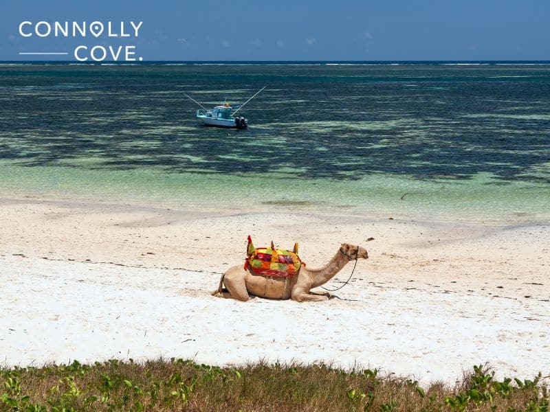 Things to do in Oman