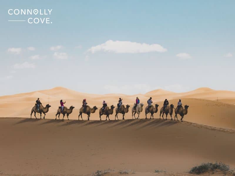 Things to do in Kuwait, Hollywood of the Gulf