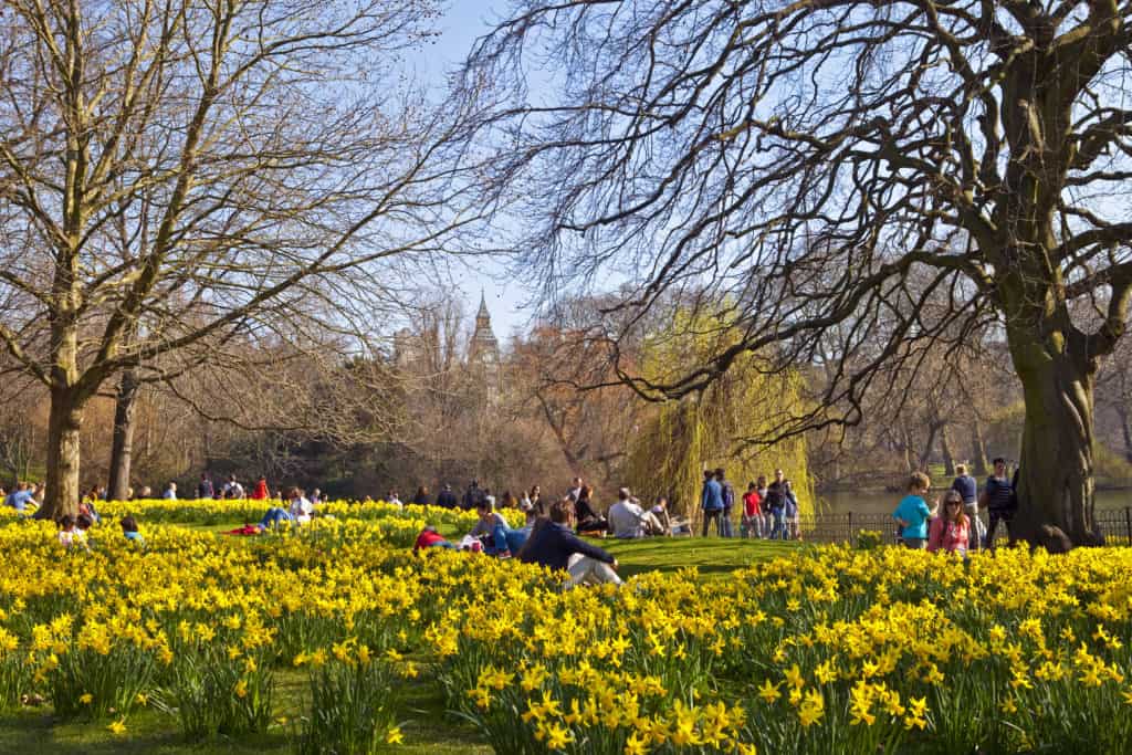 12612196 st jamess park in london Are you searching for the ultimate travel guide to London? Then we are here to help you out. Sometimes it can be difficult to find all the information you need on a certain city on one page. That’s where we want to make life easier for you.
