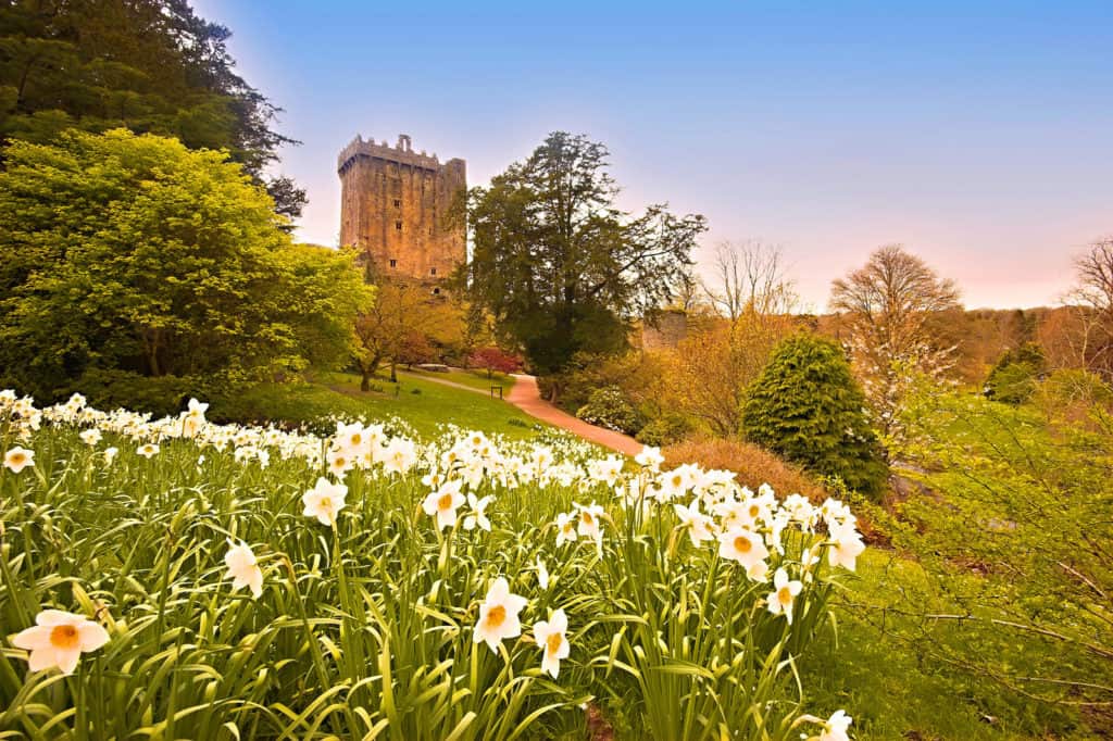482943 blarney Irish Castles are a perfect representation of the country’s long history. Every corner of Northern Ireland or the Republic of Ireland is littered with historical buildings and discoveries, representing the region’s long-standing culture.