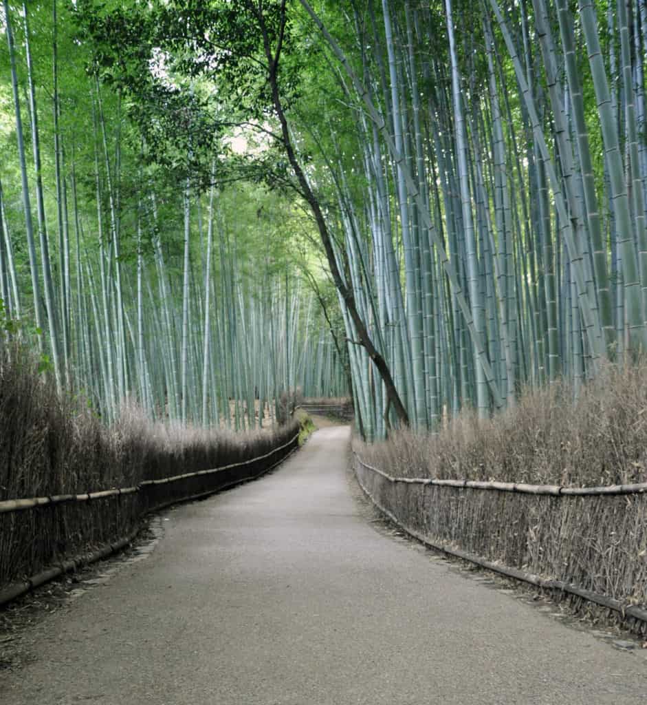 Bamboo Forest Japan They say that if you want to enjoy places that have been unspoiled by men, you need to get on the off-beaten paths more often. Truth is, whoever said that couldn’t be more right, for the best places in the world are the hidden gem destinations that eager travellers mostly look for. South America is home to some of the best scenic natural wonders, so we’re shedding the light on a Peruvian secret spot. 