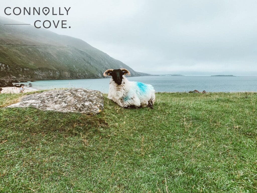 Achill Island - 5 Reasons to Visit Mayo's Hidden Gem