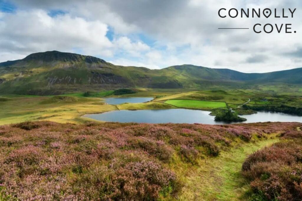 The Cadair Idris Mountains towering over Cregennan Lakes in Snowdonia National Park in Wales