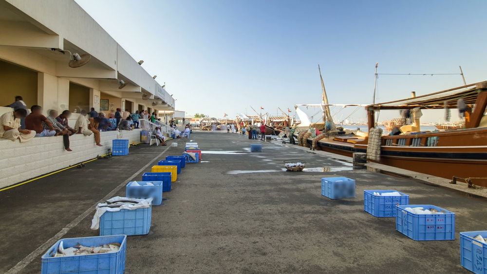 Fish Market in Ajman