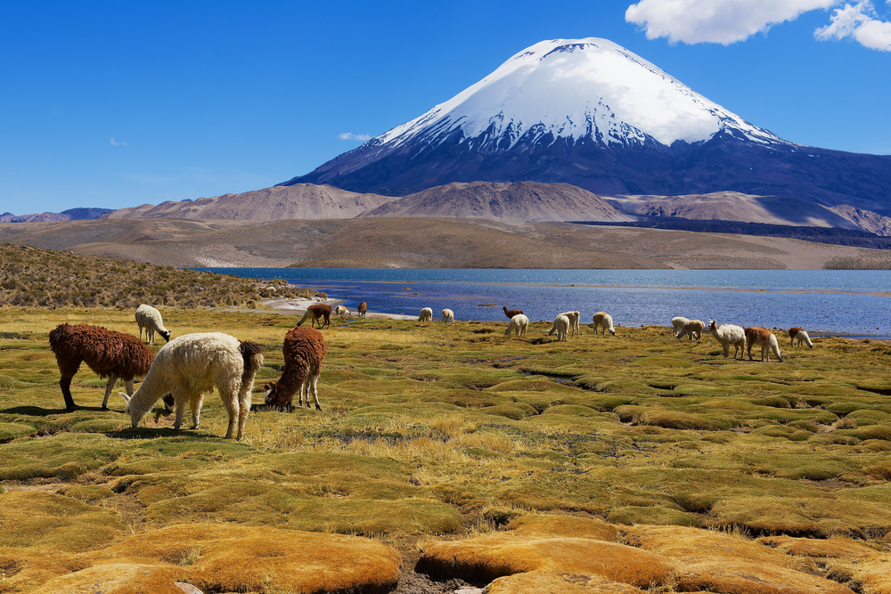 Lauca National Park in Chile