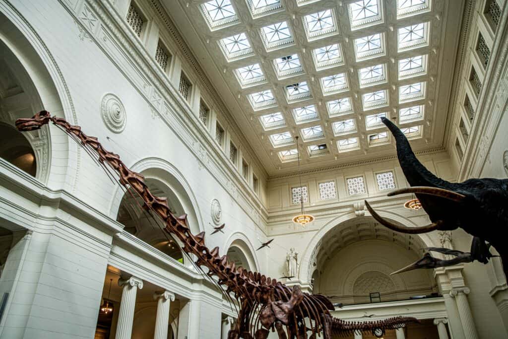 Things to do in Illinois - Field Museum Dinos