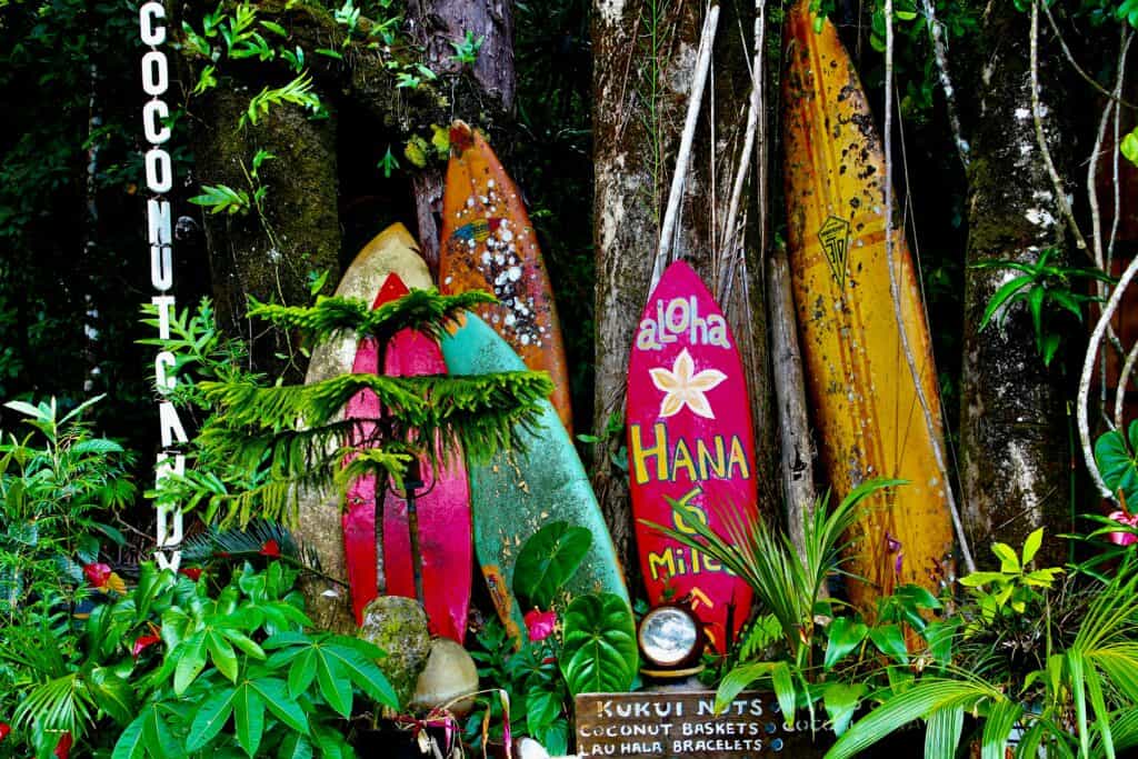 road trips in the USA - Hawaii surf