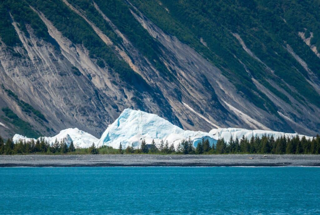 Things to do in Seward