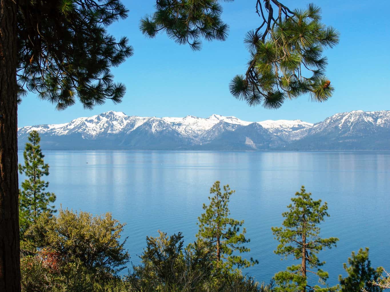 Lake Tahoe 111