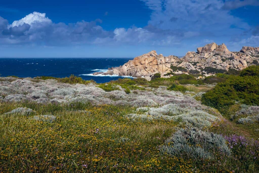 Santa Teresa di Gallura min Quiet and tucked away in the middle of the Mediterranean Sea, Sardinia is one of the best places to capture fairytale-like pictures in the bosom of nature, let alone fiction movies.