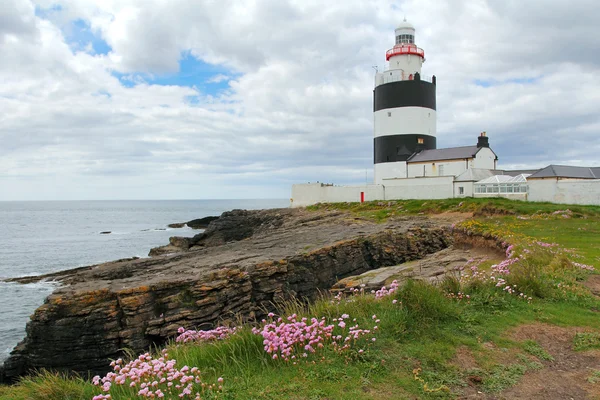 Things to do in Wexford 
