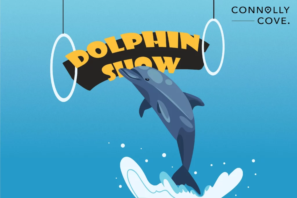 dolphin show fakieh aquarium