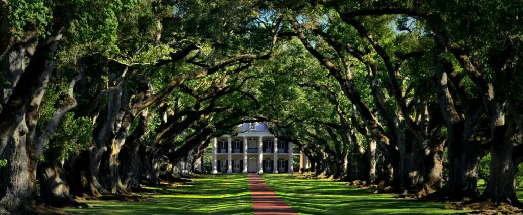 Louisiana plantation