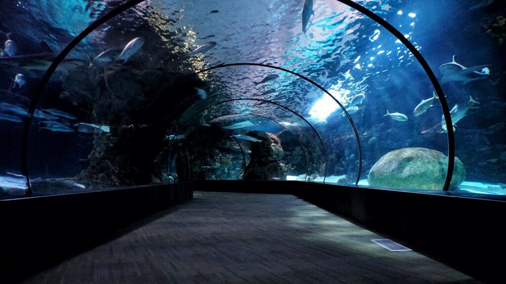 Nebraska Aquarium