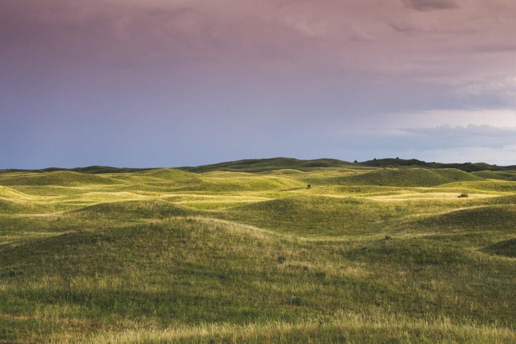 Nebraska Grass